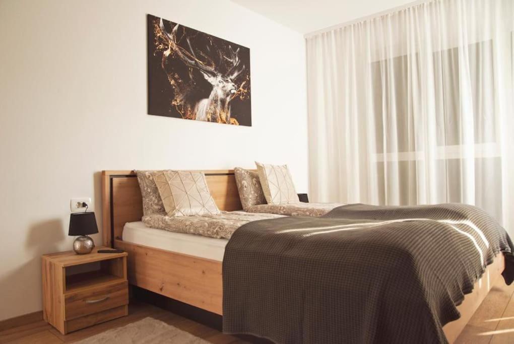 5 Dream Apartment 5 Cu Parcare Privata Орадя Экстерьер фото
