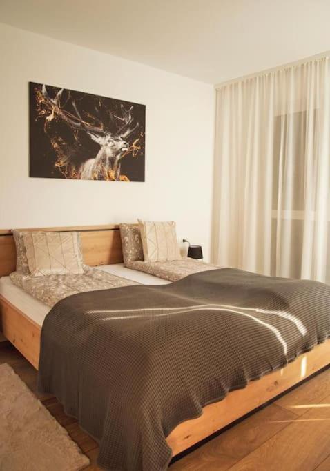 5 Dream Apartment 5 Cu Parcare Privata Орадя Экстерьер фото